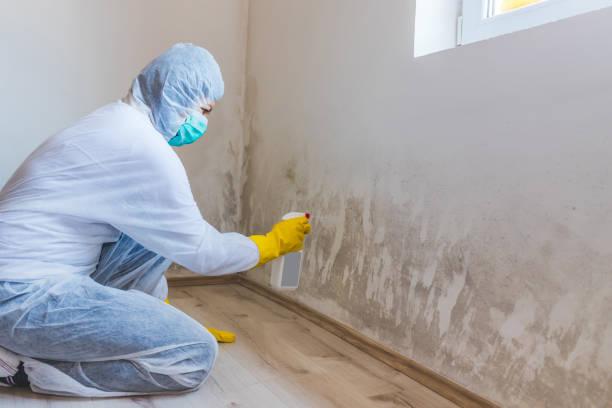 Licensed Mold Testing service in Lanham, MD - WQB Mold Removal