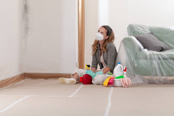 Reliable Mold Testing contractor in Lanham, MD by WQB Mold Removal